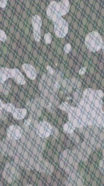 Profesyonel video projeleri sanat tarzı için organik hareketli arkaplan tasarımı