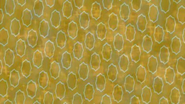 Organik desenli yüzey giriş stili video film sanatı ile soyut arkaplan tasarımı