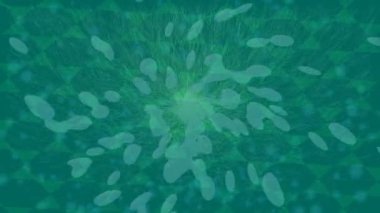 Lüks hareket tasarımı üst düzey video projeleri ve dijital sanat için zarif, pürüzsüz bir dokusu var.