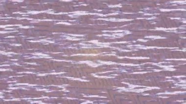 Lüks hareket tasarımı üst düzey video projeleri ve dijital sanat için zarif, pürüzsüz bir dokusu var.