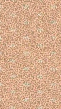 Lüks hareket tasarımı üst düzey video projeleri ve dijital sanat için zarif, pürüzsüz bir dokusu var.