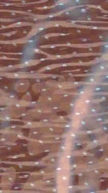 Yaratıcı video düzenleme film tasarımı için benzersiz hareket grafikleri biçimi giriş hareketi video pro