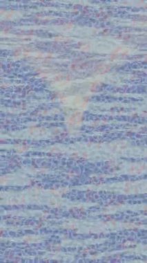 Yaratıcı video düzenleme film tasarımı için benzersiz hareket grafikleri biçimi giriş hareketi video pro