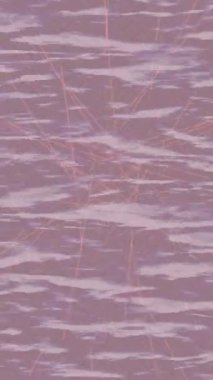 Benzersiz dijital hareket grafiklerine sahip yaratıcı sinematik projeler için yumuşak animasyon yüzeyi