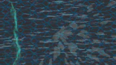 Benzersiz dijital animasyon tarzı grafikleri olan yaratıcı ortam tasarımı için yenilikçi hareket dokusu