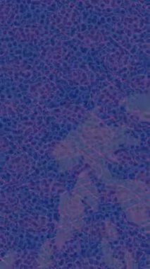 Yaratıcı video düzenleme film arkaplan tasarımı için minimalist organik hareket grafikleri