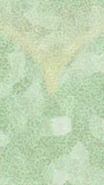 Dijital doku yüzey tasarım biçimi ile modern video animasyonu için gelişmiş hareket grafikleri