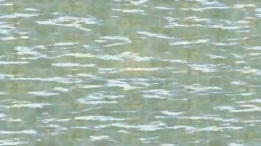 Modern medya üretimi için fütüristik dijital soyut doku sinematik tarz hareketli grafik ögesi