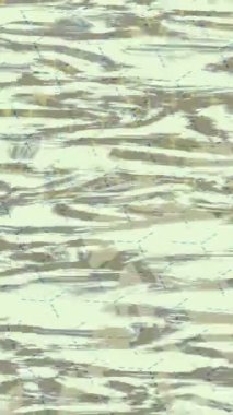 Benzersiz dijital hareket grafiklerine sahip yaratıcı sinematik projeler için yumuşak animasyon yüzeyi