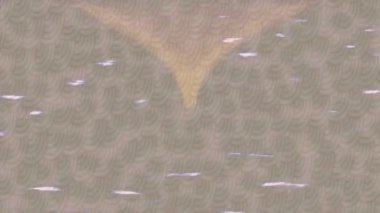 Benzersiz video giriş tasarımı projeleri için detaylı yüzey kalıbı film animasyon stili grafik girişi