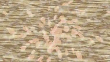 Profesyonel video projeleri sanat tarzı için organik hareketli arkaplan tasarımı