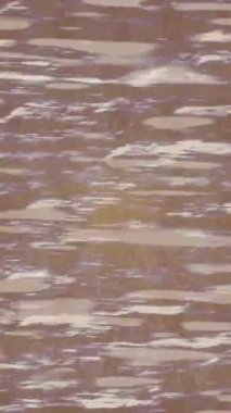 Organik desenli yüzey giriş stili video film sanatı ile soyut arkaplan tasarımı