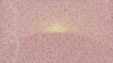 Organik desenli yüzey giriş stili video film sanatı ile soyut arkaplan tasarımı