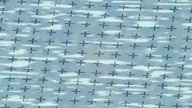 Benzersiz dijital animasyon tarzı grafikleri olan yaratıcı ortam tasarımı için yenilikçi hareket dokusu