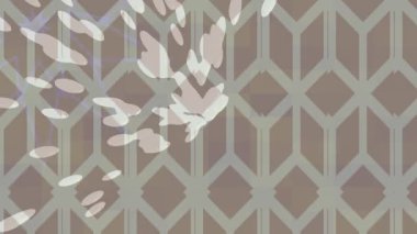 Lüks hareket tasarımı üst düzey video projeleri ve dijital sanat için zarif, pürüzsüz bir dokusu var.