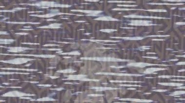 Yaratıcı video düzenleme film arkaplan tasarımı için minimalist organik hareket grafikleri