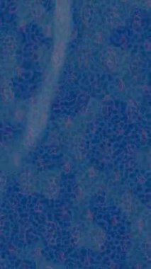 Benzersiz video giriş tasarımı projeleri için detaylı yüzey kalıbı film animasyon stili grafik girişi