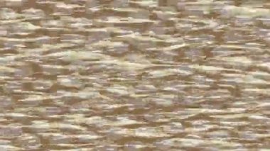 Estetik doku arkaplan tasarımı renkli hareket grafikleri ile moda film giriş profosyoneli