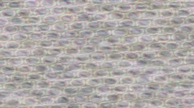 Benzersiz hareket grafikleri tasarım sanatına sahip yaratıcı film üretimi için özet bir arkaplan