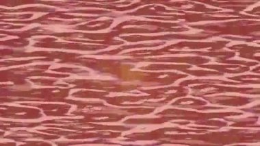 Organik desenli yüzey giriş stili video film sanatı ile soyut arkaplan tasarımı