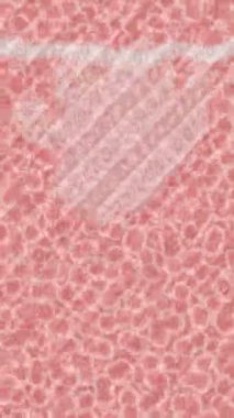 Benzersiz dijital hareket grafiklerine sahip yaratıcı sinematik projeler için yumuşak animasyon yüzeyi