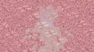 Yaratıcı video düzenleme film tasarımı için benzersiz hareket grafikleri biçimi giriş hareketi video pro