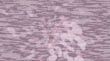 Yaratıcı video düzenleme film arkaplan tasarımı için minimalist organik hareket grafikleri