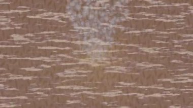 Yaratıcı video düzenleme film arkaplan tasarımı için minimalist organik hareket grafikleri