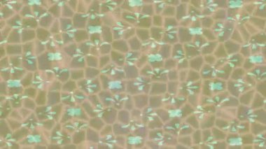 Dijital doku yüzey tasarım biçimi ile modern video animasyonu için gelişmiş hareket grafikleri