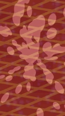 Yaratıcı video düzenleme film arkaplan tasarımı için minimalist organik hareket grafikleri