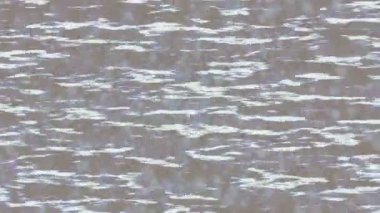 Dijital doku yüzey tasarım biçimi ile modern video animasyonu için gelişmiş hareket grafikleri