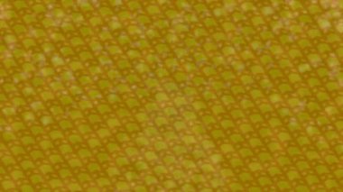 Organik desenli yüzey giriş stili video film sanatı ile soyut arkaplan tasarımı