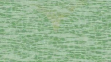 Benzersiz hareket dokusu tasarım sanatı ile profesyonel video düzenleme için modern soyut grafikler