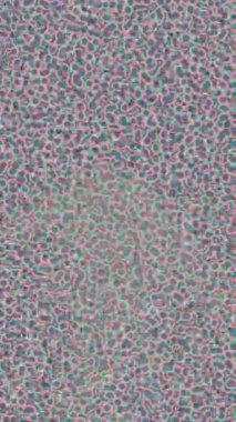 Profesyonel video projeleri sanat tarzı için organik hareketli arkaplan tasarımı