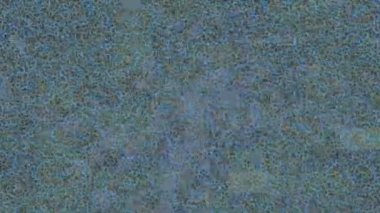 Lüks hareket projeleri için soyut tasarım stili animasyonu olan üst düzey dijital doku