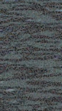 Benzersiz video giriş tasarımı projeleri için detaylı yüzey kalıbı film animasyon stili grafik girişi