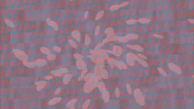 Dijital doku yüzey tasarım biçimi ile modern video animasyonu için gelişmiş hareket grafikleri