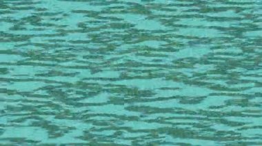 Yaratıcı video düzenleme film arkaplan tasarımı için minimalist organik hareket grafikleri