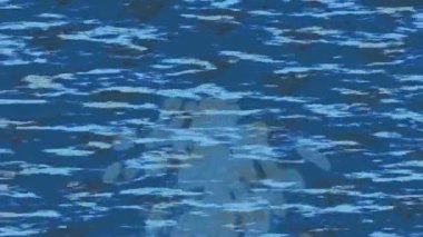 Yaratıcı video düzenleme film arkaplan tasarımı için minimalist organik hareket grafikleri