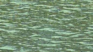 Benzersiz hareket dokusu tasarım sanatı ile profesyonel video düzenleme için modern soyut grafikler