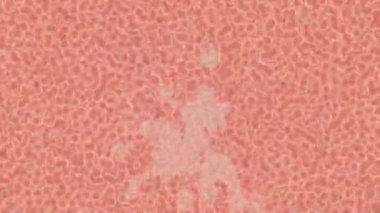 Dijital doku yüzey tasarım biçimi ile modern video animasyonu için gelişmiş hareket grafikleri