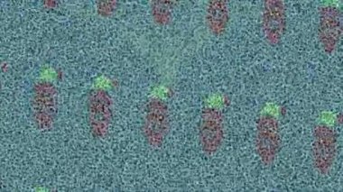 Benzersiz hareket dokusu tasarım sanatı ile profesyonel video düzenleme için modern soyut grafikler