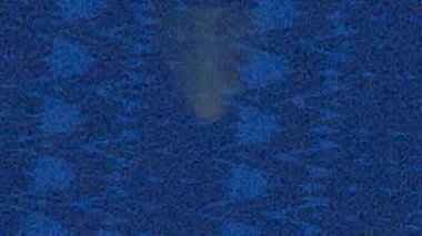 Soyut hareket desenli fütüristik video üretimi için dinamik dijital arkaplan