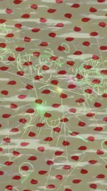 Benzersiz dijital hareket grafiklerine sahip yaratıcı sinematik projeler için yumuşak animasyon yüzeyi