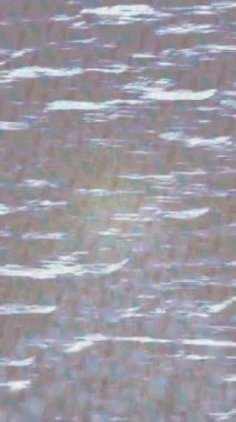 Profesyonel video projeleri sanat tarzı için organik hareketli arkaplan tasarımı