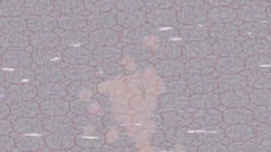 Yaratıcı video düzenleme film tasarımı için benzersiz hareket grafikleri biçimi giriş hareketi video pro