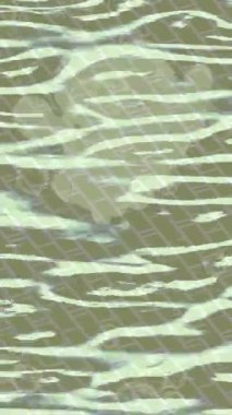 Lüks hareket projeleri için soyut tasarım stili animasyonu olan üst düzey dijital doku