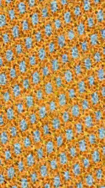 Benzersiz dijital hareket grafiklerine sahip yaratıcı sinematik projeler için yumuşak animasyon yüzeyi