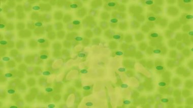 Yaratıcı video düzenleme film arkaplan tasarımı için minimalist organik hareket grafikleri