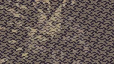 Profesyonel video projeleri sanat tarzı için organik hareketli arkaplan tasarımı